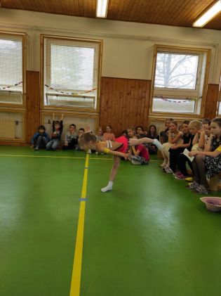 Fotografie 336208483_765960361456230_84282772640716_original.jpg