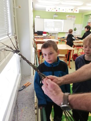 Fotografie 08-1679597208_original.jpg