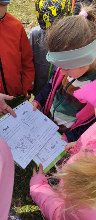 Fotografie 336201000_149951808001340_56138672857826_original.jpg