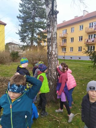 Fotografie 336273093_759976515698587_83437688892397_original.jpg