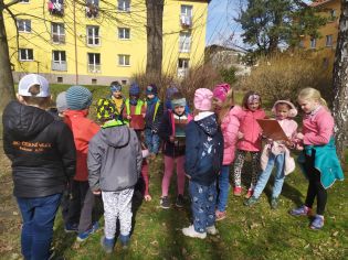 Fotografie 336327581_556361359945009_29701651374582_original.jpg