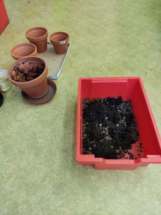 Fotografie img_20230126_111441_original.jpg