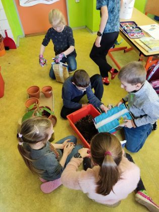 Fotografie img_20230126_111639_original.jpg