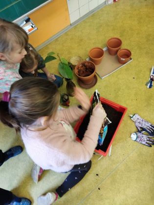 Fotografie img_20230126_111800_original.jpg