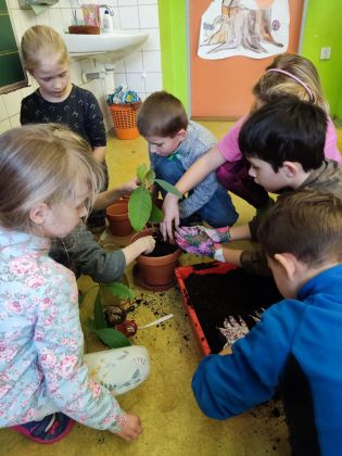 Fotografie img_20230126_112221_original.jpg