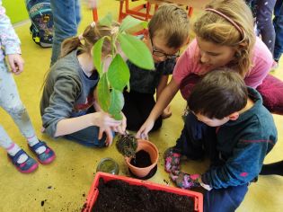 Fotografie img_20230126_112611_original.jpg