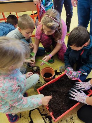 Fotografie img_20230126_112849_original.jpg