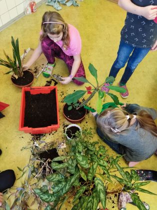 Fotografie img_20230126_114139_original.jpg