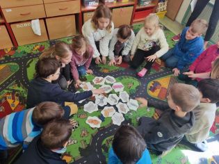 Fotografie img_20230317_092306_original.jpg