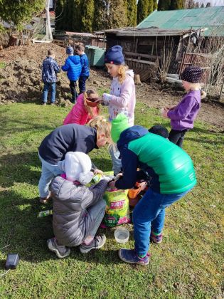 Fotografie img_20230322_112638_original.jpg