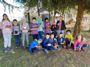 Fotografie img_20230322_113708_original.jpg