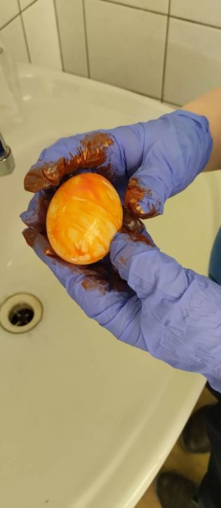 Fotografie 330331834_232301319291219_12553441078661_original.jpg