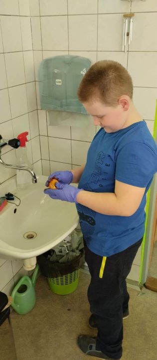 Fotografie 337215991_1014375552869473_1143211453918_original.jpg