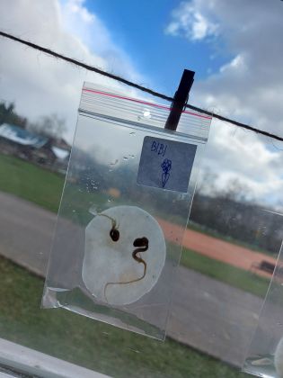 Fotografie 20230328_124024_original.jpg