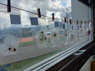 Fotografie 20230328_124052_original.jpg