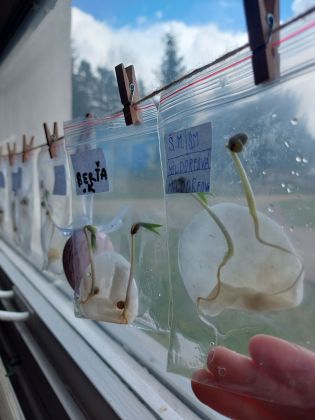 Fotografie 20230328_124107_original.jpg