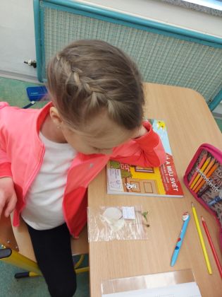 Fotografie 20230330_111545_original.jpg