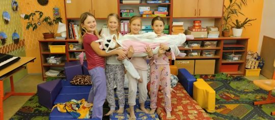 Fotografie 02-1680695541_1_original.jpg