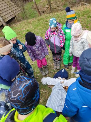 Fotografie img_20230404_115543_original.jpg