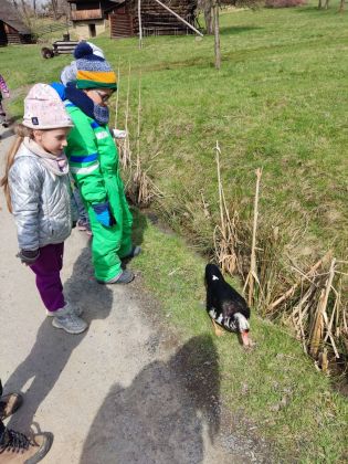 Fotografie img_20230404_122957_original.jpg