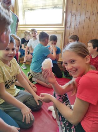 Fotografie 1680695753642_original.jpg