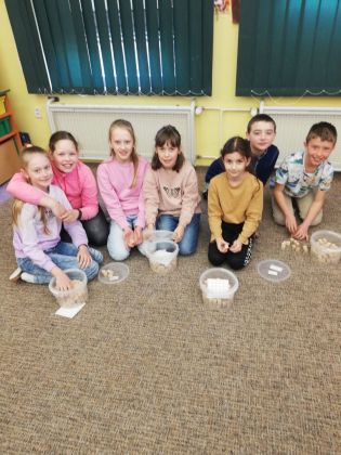 Fotografie whatsapp-image-2023-04-13-at-0952541_original.jpeg