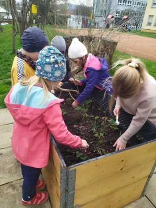 Fotografie 06-1682084568_original.jpg