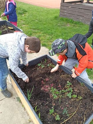 Fotografie 15-1682084592_original.jpg