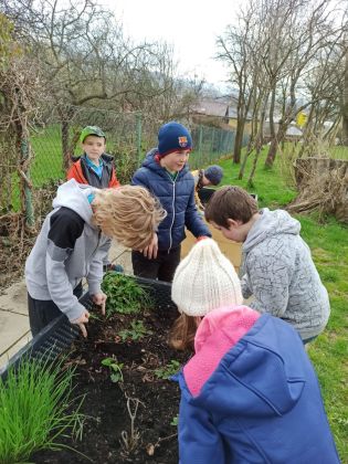 Fotografie 16-1682084594_original.jpg