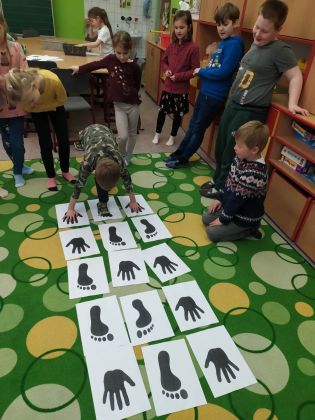 Fotografie 341514809_764446875248854_76787352449533_original.jpg