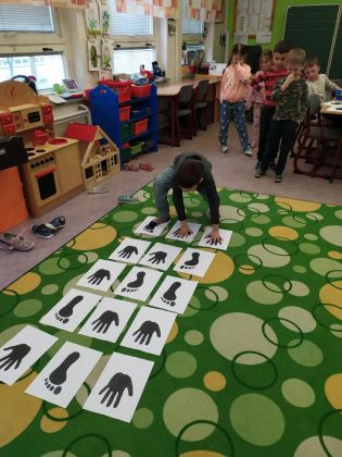 Fotografie 341542244_1688733071582923_5633581812177_original.jpg