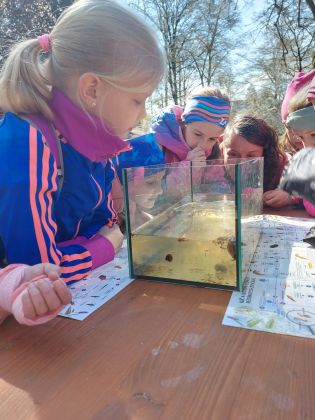 Fotografie 20230421_103327_original.jpg