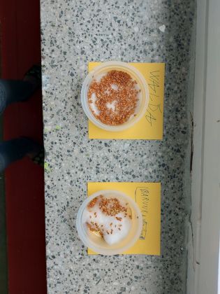 Fotografie 20230331_122842_original.jpg