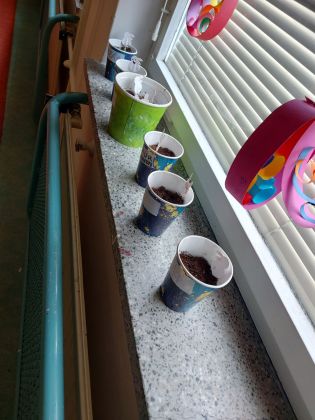 Fotografie 20230331_130918_original.jpg