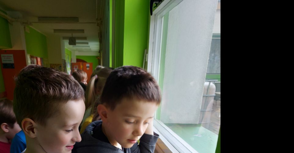 Sázení semínek v první třídě