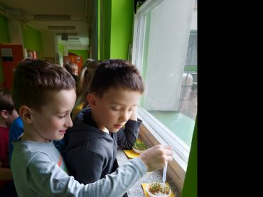 Foto k aktualitě Sázení semínek v první třídě