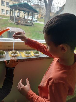 Fotografie 20230404_112800_original.jpg