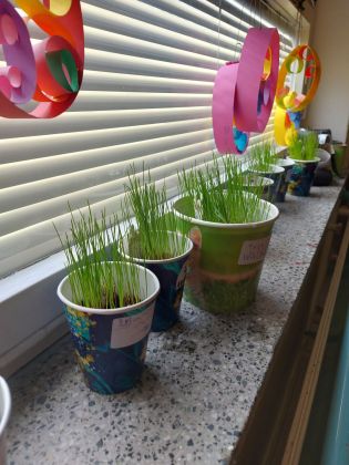 Fotografie 20230409_084232_original.jpg