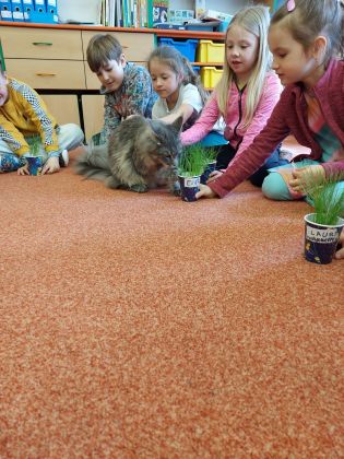 Fotografie 20230414_111337_original.jpg