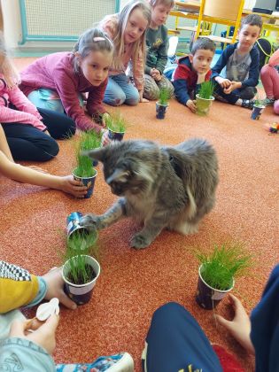 Fotografie 20230414_111507_original.jpg