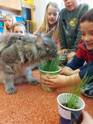 Fotografie 20230414_111609_original.jpg