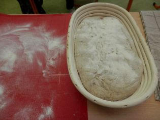 Fotografie p4270035_original.jpg