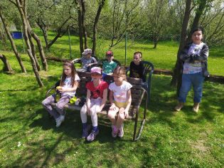 Fotografie 002-1683304634_original.jpg