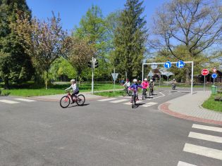 Fotografie img_20230509_110053_original.jpg