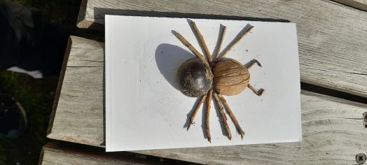 Fotografie 1151_original.jpg