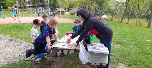 Fotografie 1159_original.jpg