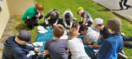 Fotografie 1160_original.jpg