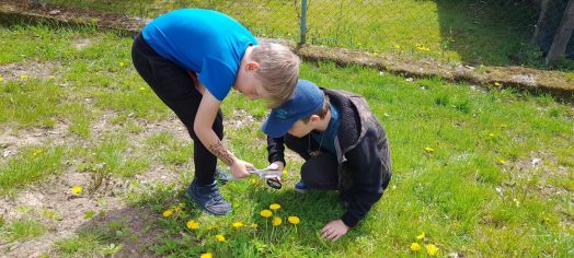 Fotografie 1161_original.jpg