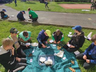 Fotografie img_20230511_084026_original.jpg