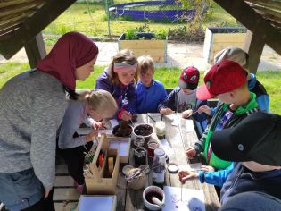 Fotografie img_20230511_084156_original.jpg